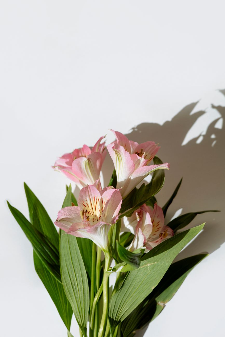 Alstroemeria bouquet