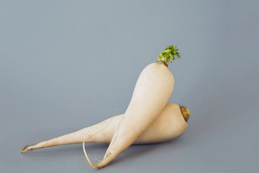Daikon Radish (Cu Cai Trang)