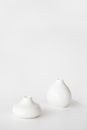 White Garlic on White Surface