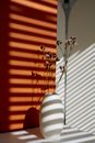 Thin stems of gentle blooming flowers placed in white ceramic vase on table in sunlight