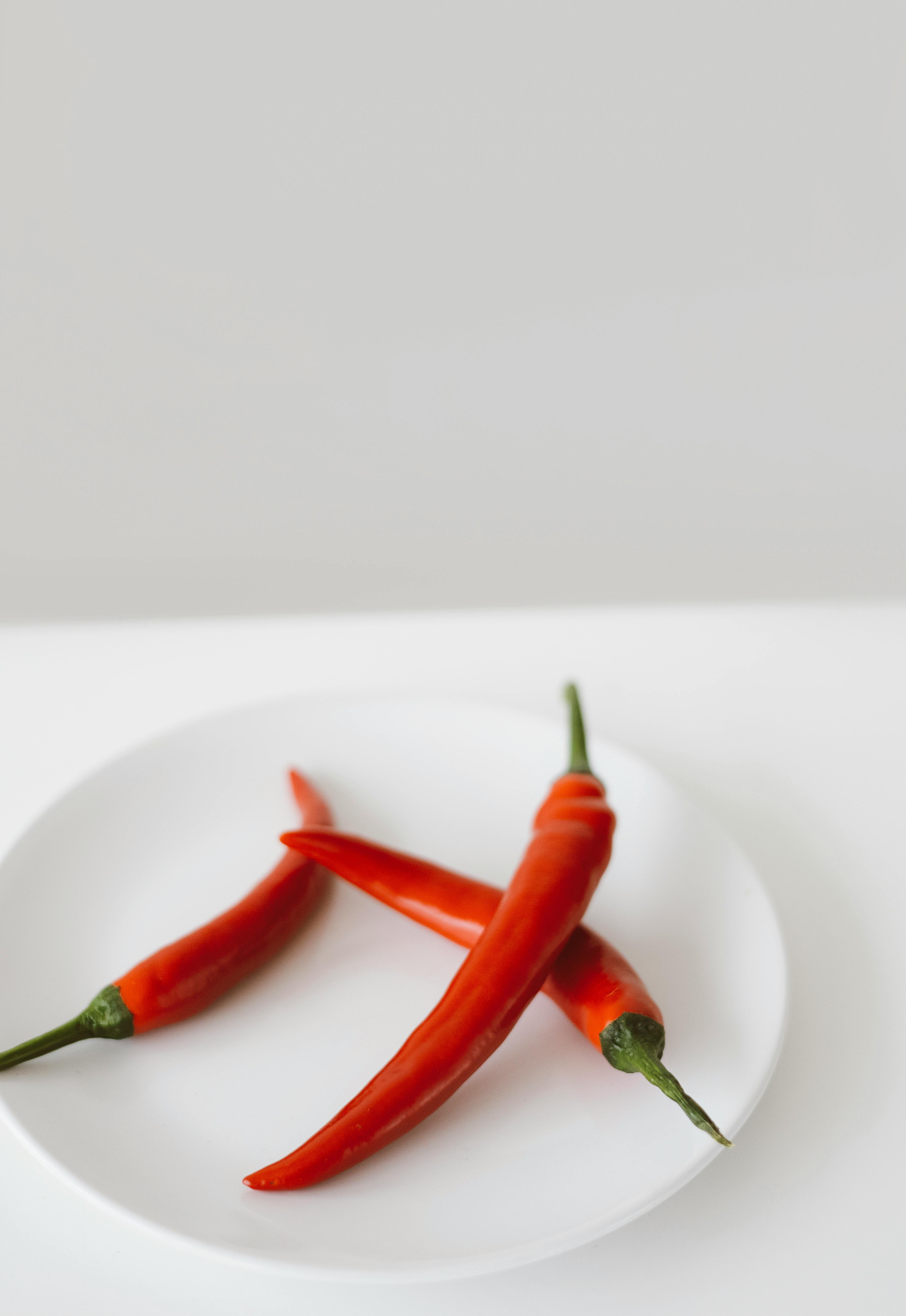 chilli pepper | chili pepper, n.