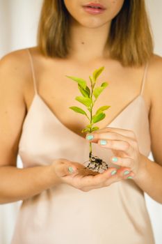 Crop unrecognizable elegant female holding Ruscus plant seedling with wavy green leaves on light background