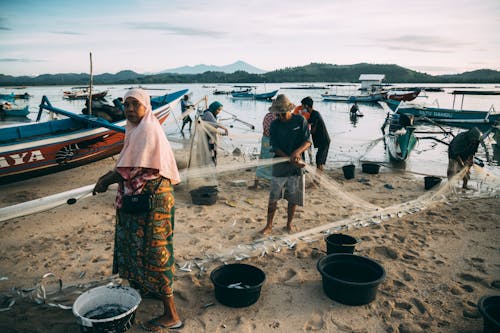 Fotobanka s bezplatnými fotkami na tému člny, druhy rýb, Indonézia