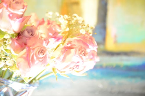 バラの花, 美しい花の無料の写真素材