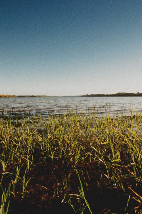Free Scenic view of green grass growing against rippled river under light sky on sunny day Stock Photo