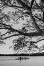 Black and white of anonymous paddlers in canoes on rippled lake against overgrown tree in daytime