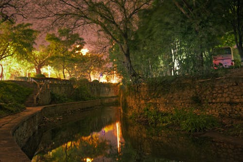 Immagine gratuita di alberi, fiume, fotografia notturna