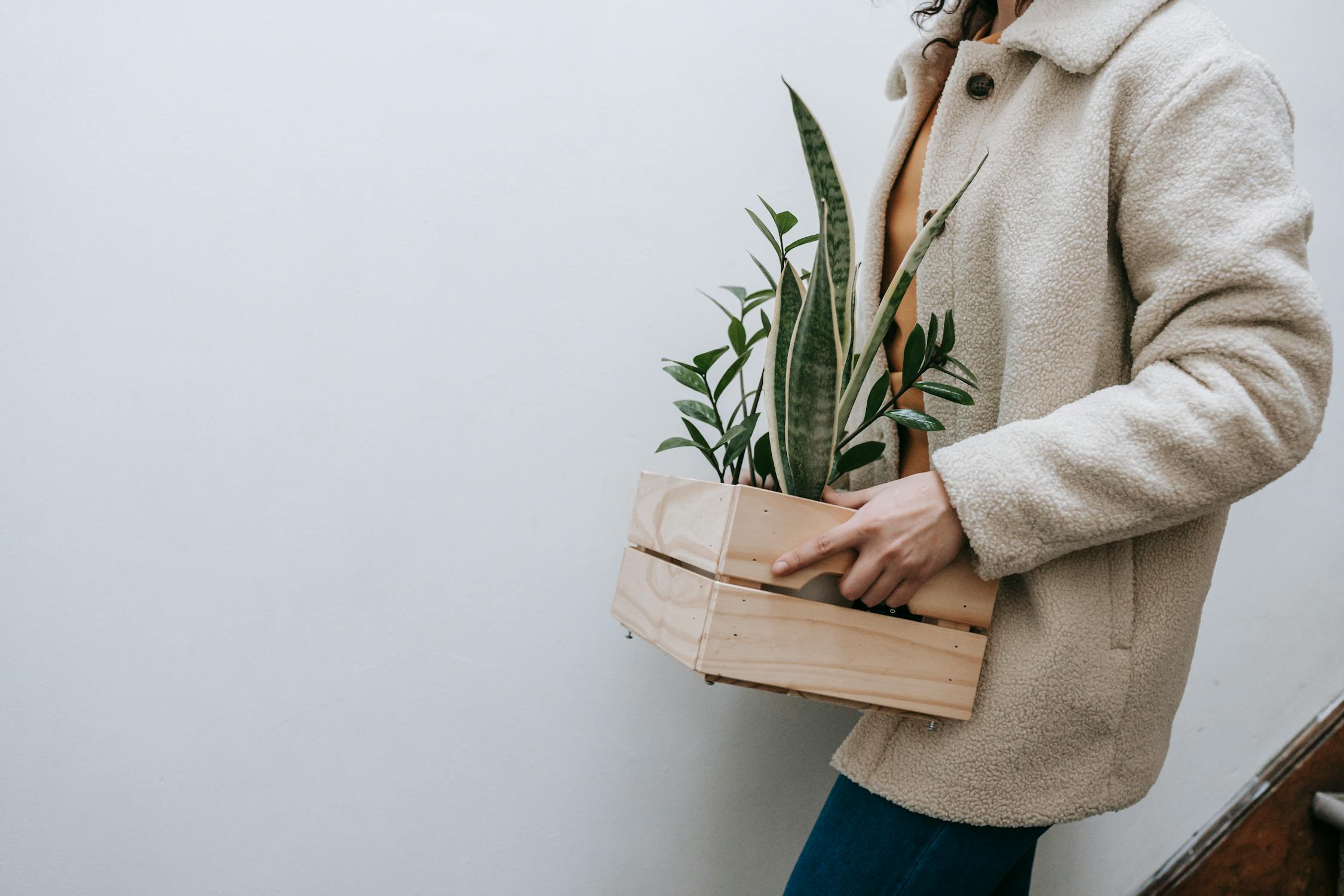 Woman Carrying A Small Crate With Plants