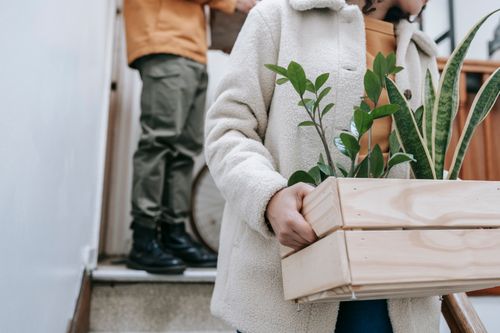 Free A couple carrying plants in a wooden box while moving into a new home. Stock Photo