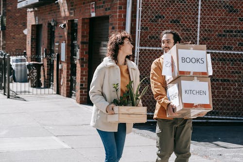 Free ouple Moving Out Carrying Boxes And Plants Stock Photo
