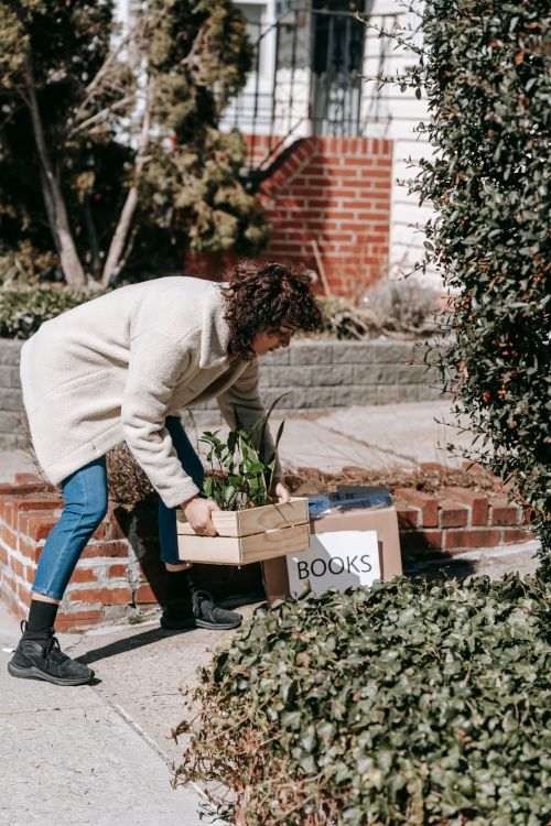 Free A woman packs plants and books into boxes outside her new home, moving in with care. Stock Photo