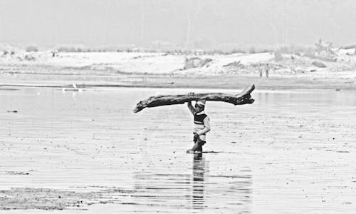 Immagine gratuita di albero, duro lavoro, ganga