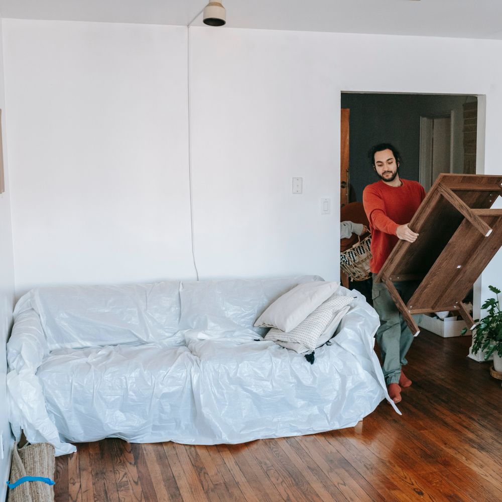 Mostyn — professional packers wrapping and boxing belongings