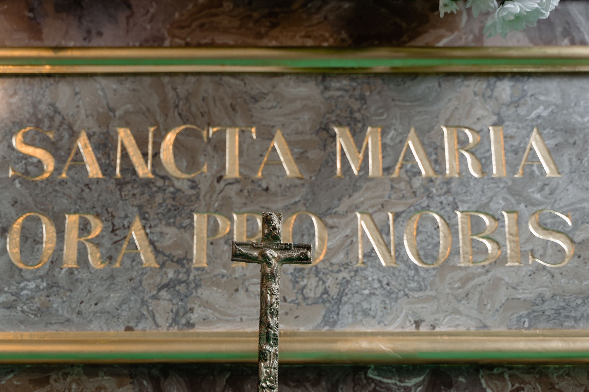 Un clamor universal: La Iglesia defiende la vida, de la concepción al ocaso natural