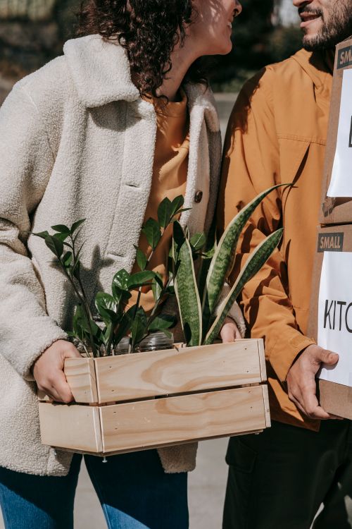 Free A couple joyfully moving into a new home carrying plants in a wooden box. Stock Photo