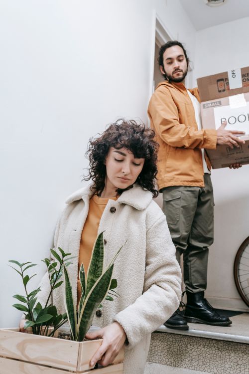 Free A couple carrying boxes and plants, moving into their new home with a feeling of joy and adventure. Stock Photo