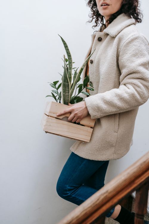 Free A woman in a cozy jacket carrying a wooden box with plants on an indoor staircase. Stock Photo