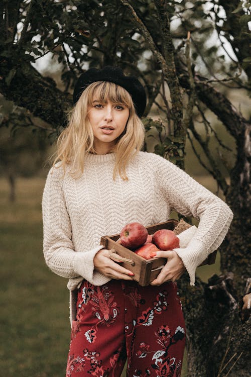 Darmowe zdjęcie z galerii z apple, blond, delikatny