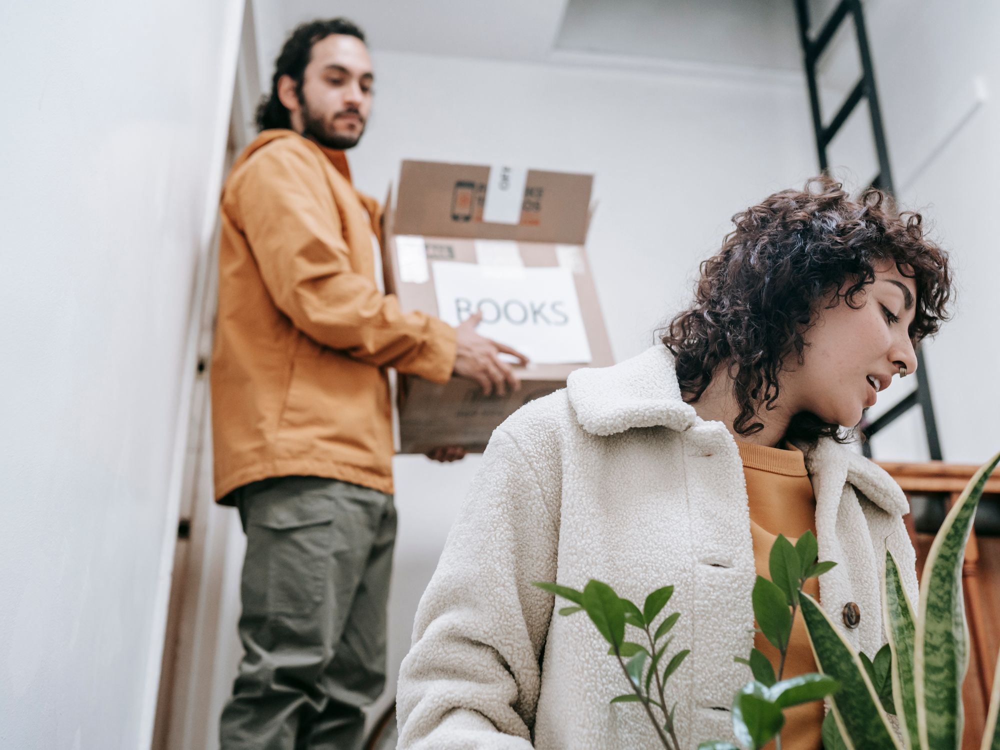 Flat Removals in Rudgwick, South East — movers carrying boxes for a flat move