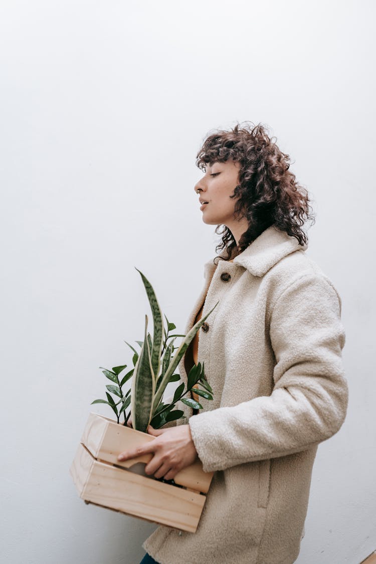 Woman Carrying A Box Of Plants