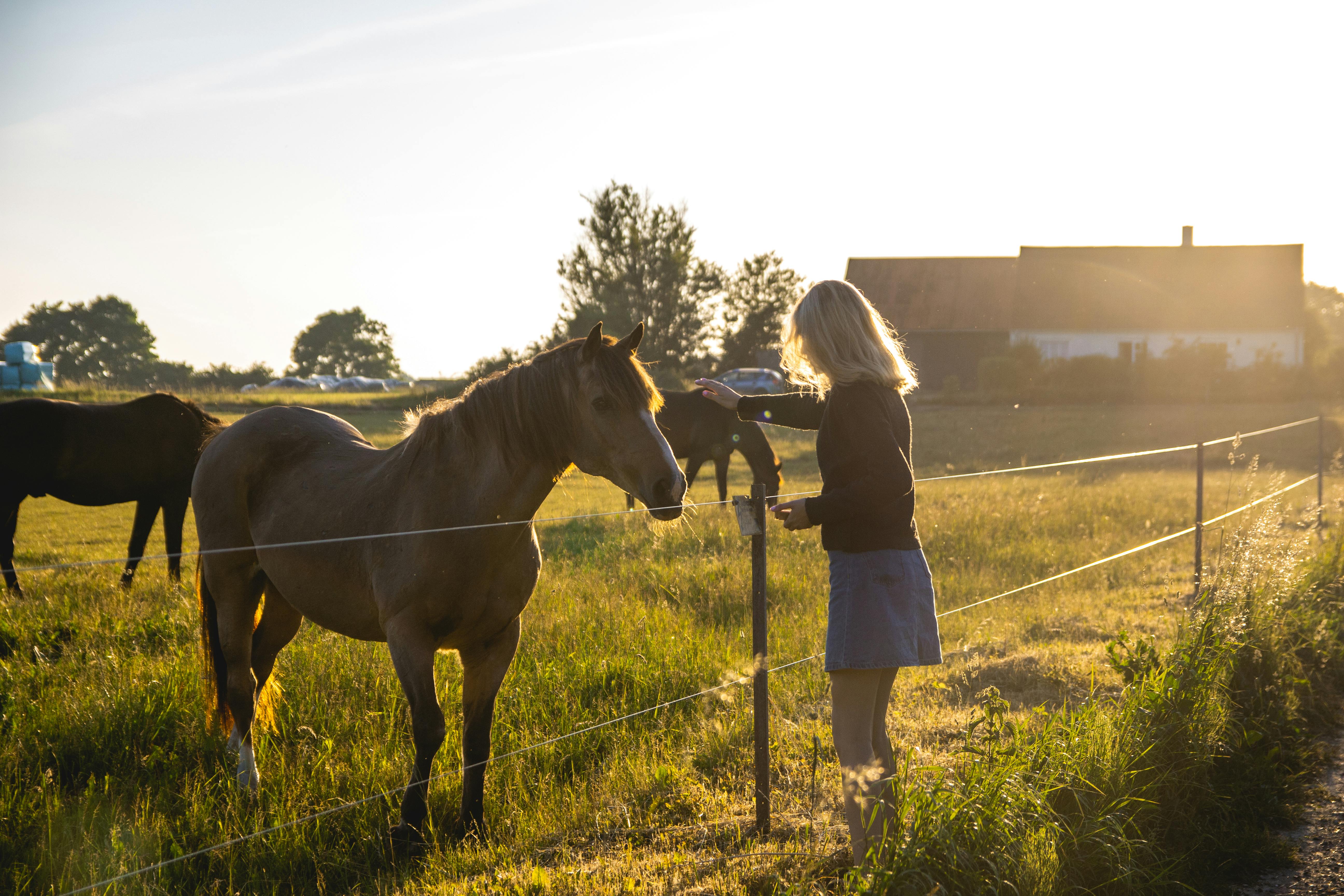 Arizona Horseback Riding