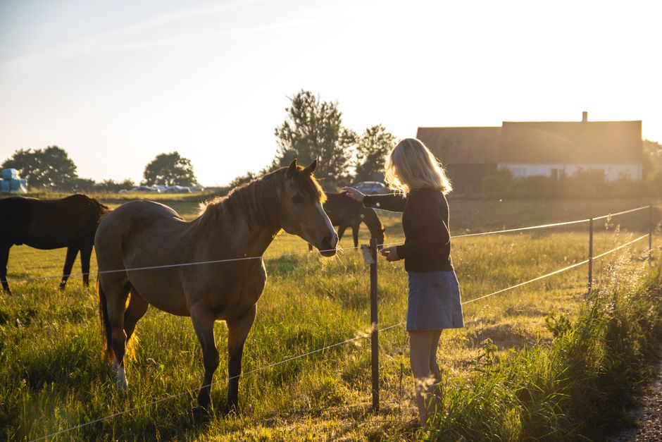 A woman pets a horse near a farm in Svendborg, Denmark, during sunset.