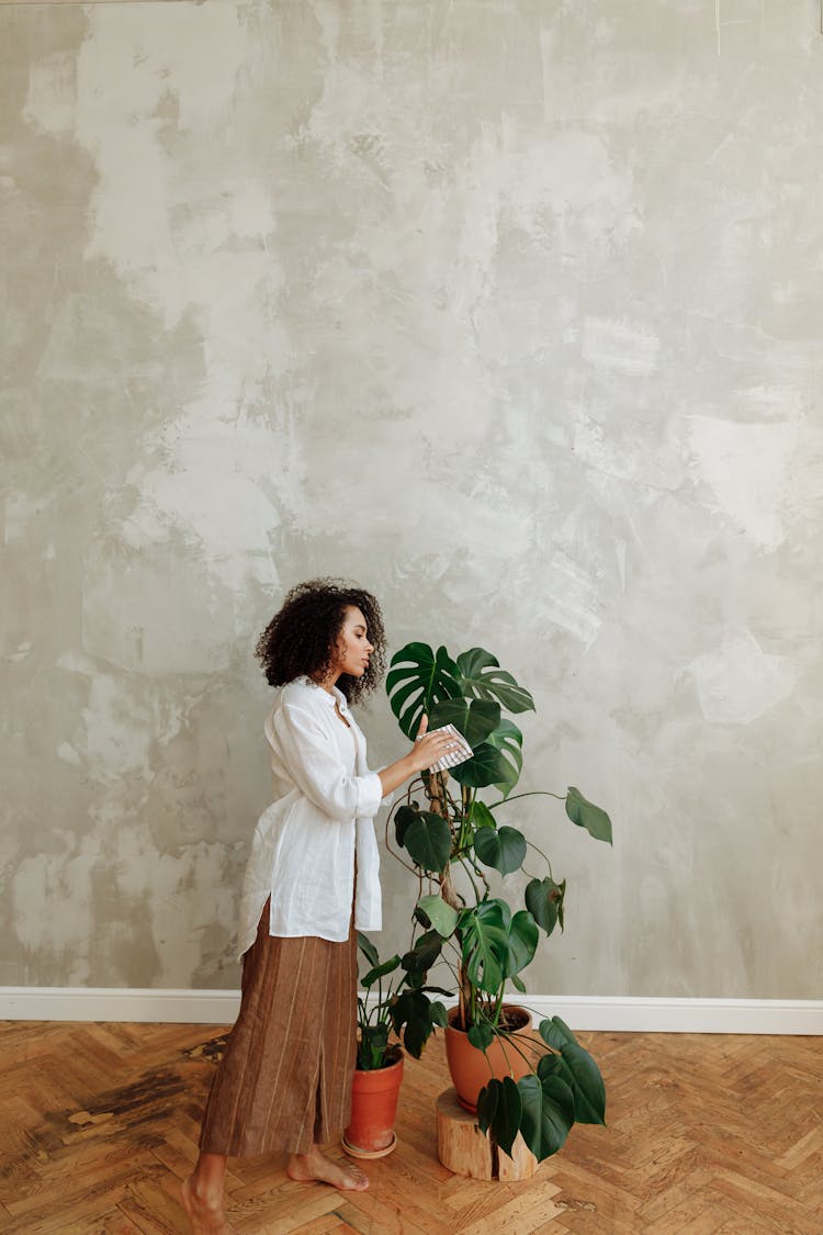 Woman Cleans Monstera Leaf