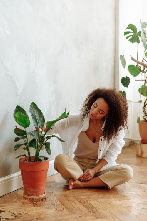 Free An African American woman sitting on a wooden floor, caring for a potted indoor plant in a bright, modern home. Stock Photo
