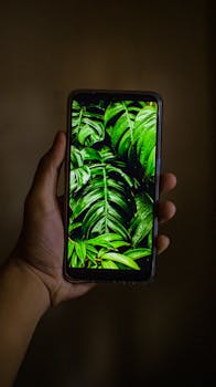 Crop anonymous person demonstrating modern cellphone screen with photo of lush green plants in wild forest in hands on blurred background