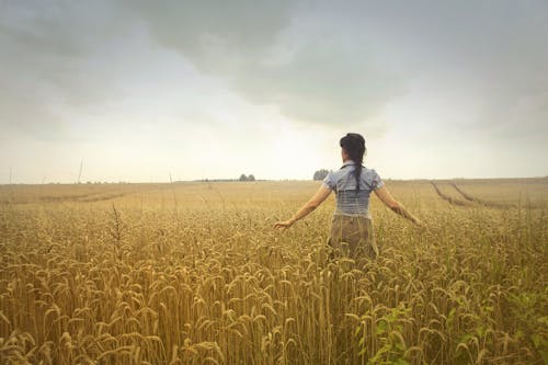 Женщина, стоящая на рисовом поле в пасмурный день