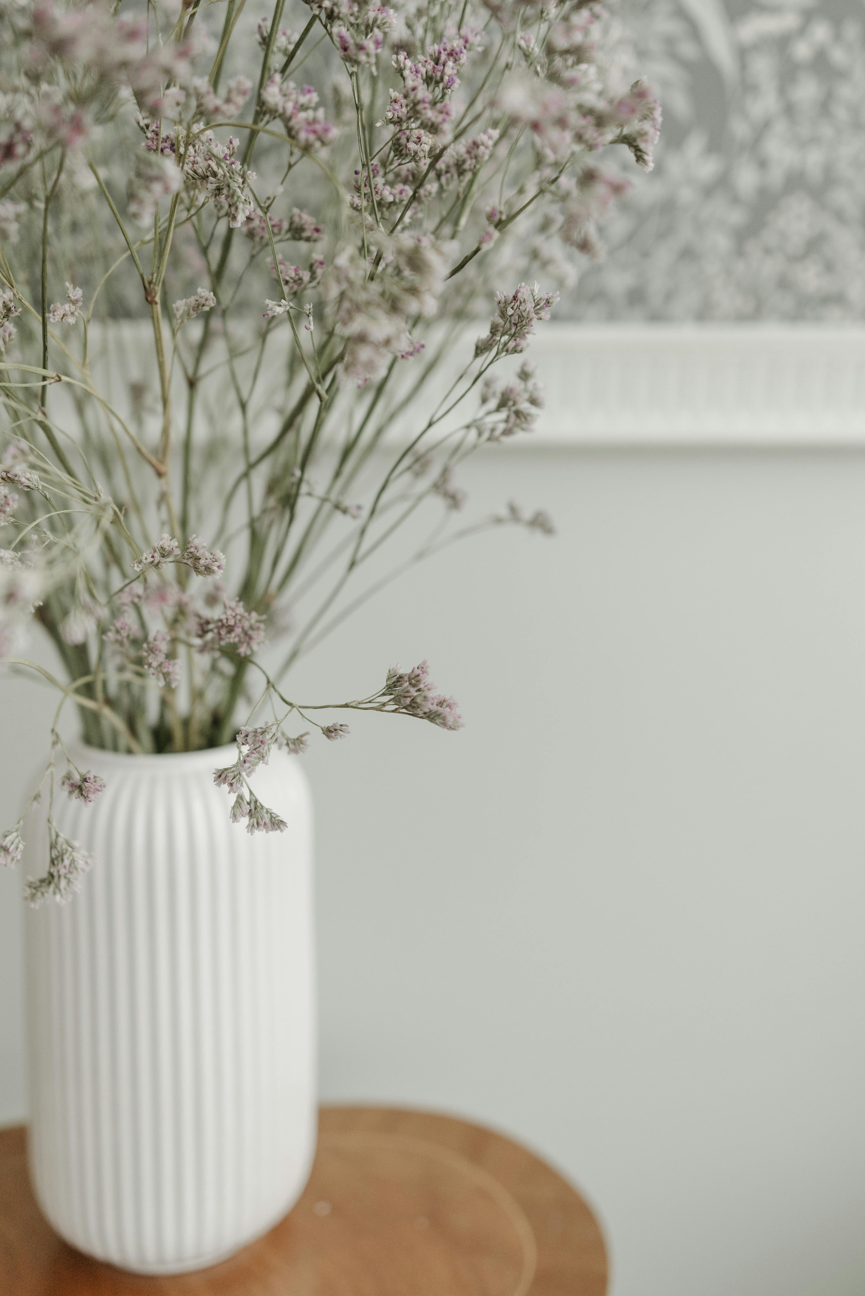 Delicate baby's breath flowers elegantly arranged in a white vase, perfect for home decor.