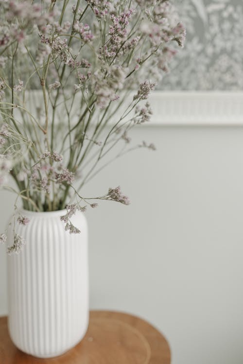 

A Close-Up Shot of a Plant in a Vase