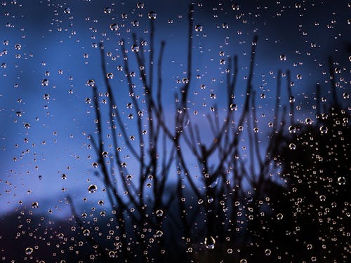 Macro Photography of Water Dew