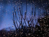 玻璃上雨滴的宏观视图，在黄昏时分突出了背景中模糊的自然景象