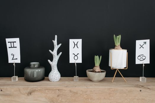 Star Signs Symbols and Potted Plants