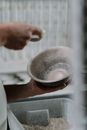 Free stock photo of adult, artisan, baking