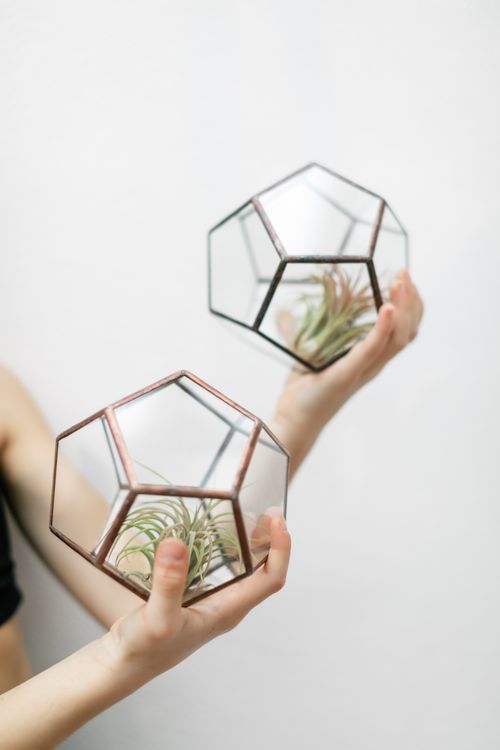 Free Two geometric terrariums with air plants being held, showcasing minimalist design. Stock Photo