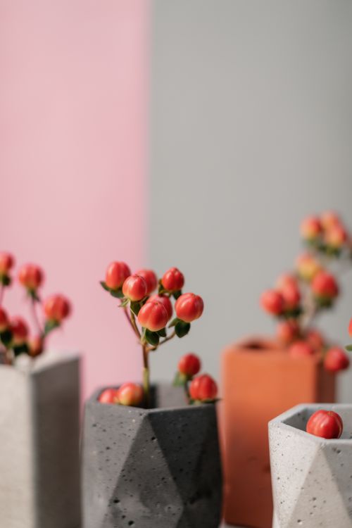 Free Artistic arrangement of cherry tomatoes in geometric ceramic vases on a pastel backdrop. Stock Photo