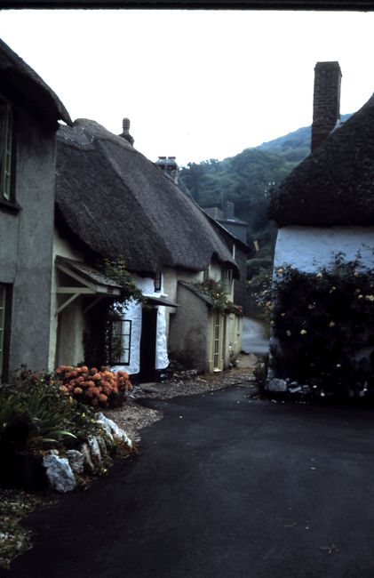 Picturesque view of traditional thatched roof cottages in Thurlestone, England.