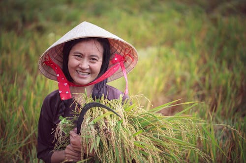 Free Woman in Black Long Sleeve Shirt with Conical Hat Holding Harvested Crops Stock Photo
