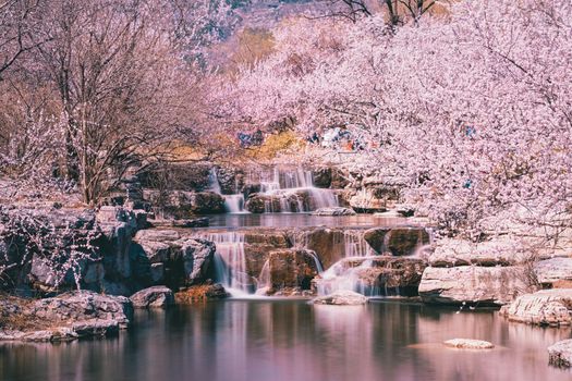 Elegante Bäume & Wasserfall – Naturmotiv als Hintergrundbild