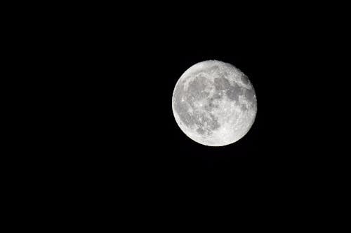 Free Black and White Photograph of the Moon Stock Photo