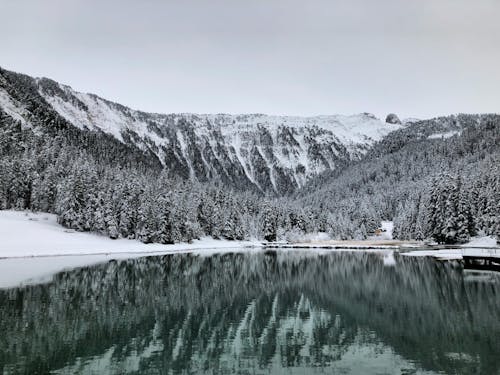 Бесплатное стоковое фото с вода, гора, деревья