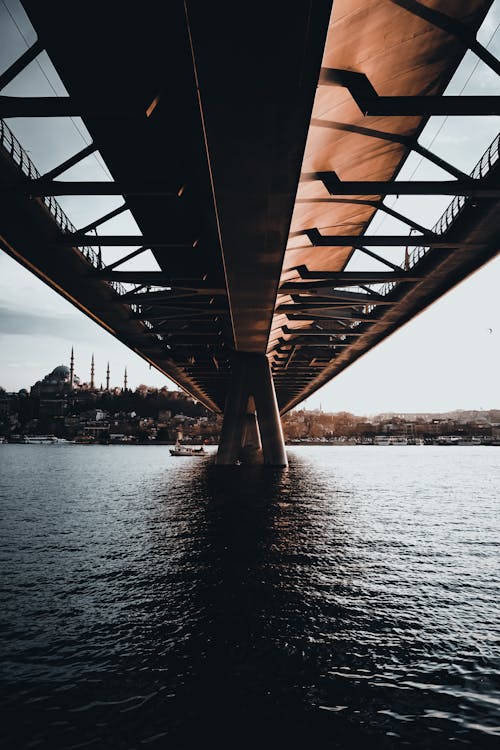 Photo of Underneath a Bridge over Body of Water
