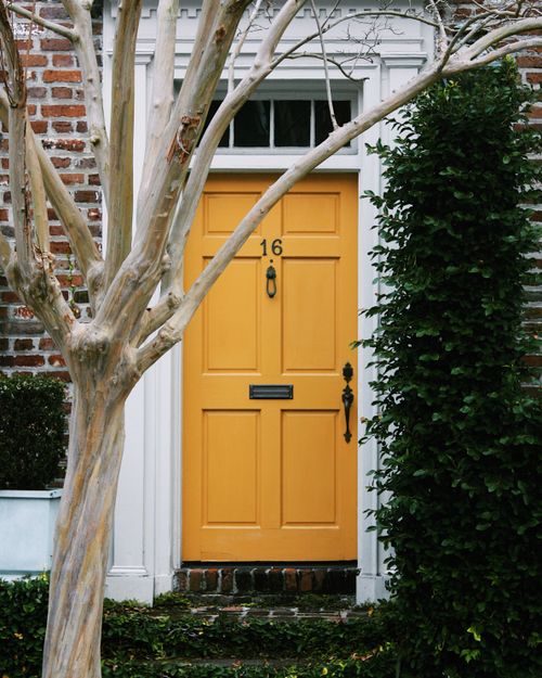 Free Bright yellow door framed by a leafless tree and lush greenery. Stock Photo