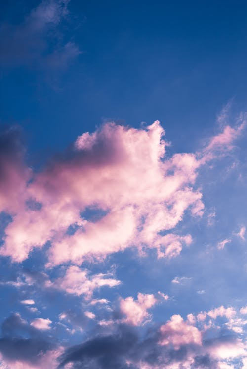 Free Foto stok gratis awan, berawan, berwarna merah muda Stock Photo