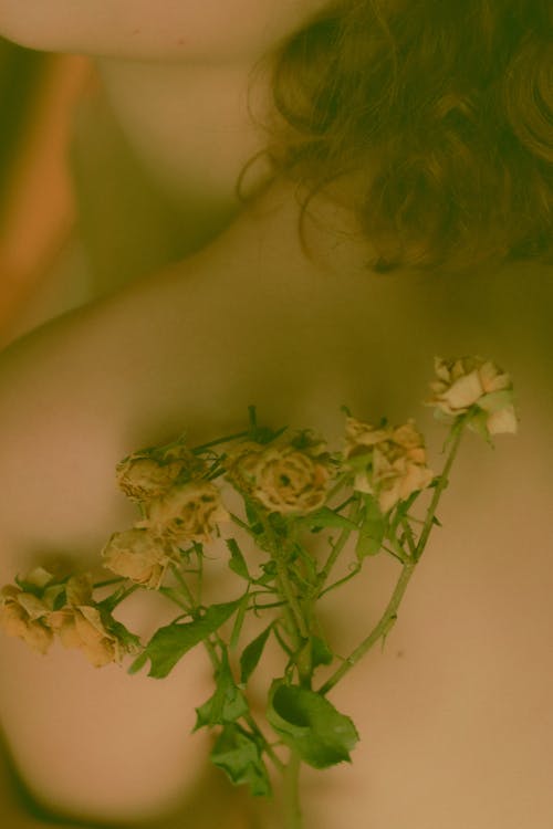Free Dried Roses on a Woman's Bare Back Stock Photo
