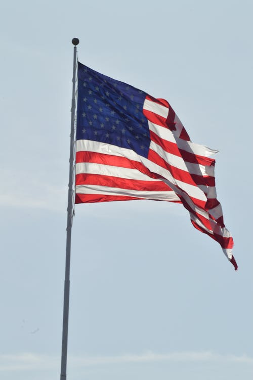 アメリカの国旗, アメリカ合衆国, ローアングルショットの無料の写真素材