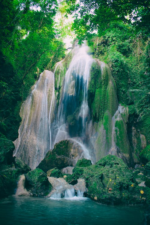 Time Lapse Photography of Waterfalls Between Tall Trees