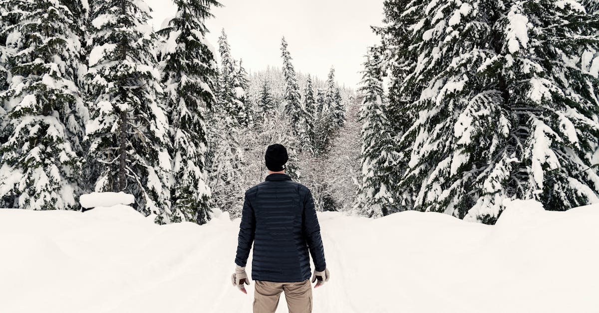 Photo of a Man in the Snowy Forest · Free Stock Photo